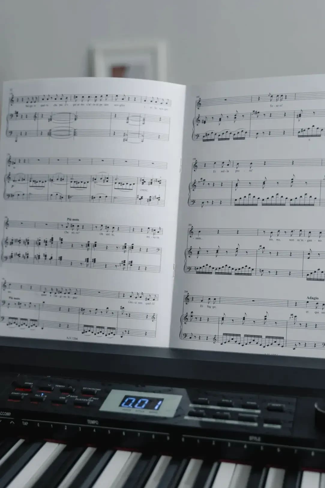 ハーモニア音楽アカデミー 1